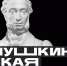 В Кузбассе стартовал проект «Пушкинская карта» 0 - Полысаевская ЦБС
