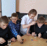 Интеллектуально-познавательная программа «Наука в библиотеке» 0 - Полысаевская ЦБС