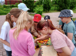 Марафон настольных игр «Игротека в библиотеке» 3